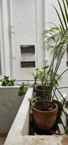 Fotografie z fotogalerie ubytování Laxmi Happy Home in Pune v destinaci Puné