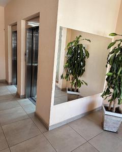 a hallway with two potted plants in a building at Cálido y céntrico departamento 2 opcional cochera in Bahía Blanca