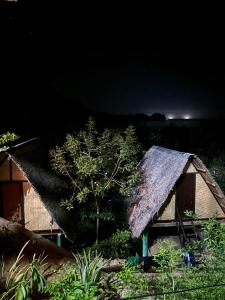 una casa con tetto di paglia di notte di Forest Camp El Nido a El Nido