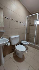 a bathroom with a toilet and a sink and a shower at El viejo bar hotel in Perito Moreno