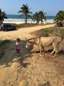 a little girl standing next to a donkey on a beach at Beachfront Paradise Boutique Hotel in Santa María Tonameca