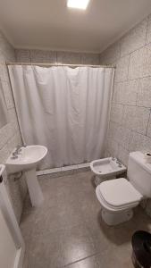 a bathroom with a toilet and a sink and a shower at El viejo bar hotel in Perito Moreno