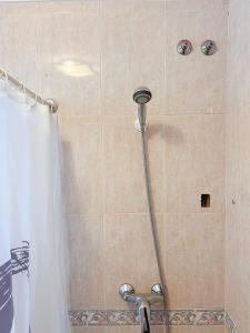 威爾瓦的住宿－Habitación compartido Huelva centro，浴室内配有淋浴和头顶淋浴