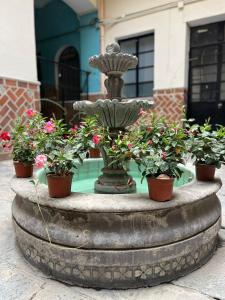 a fountain with potted plants on top of it at Casa Veeyuu in Puebla