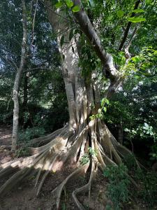 Paesaggio naturale nelle vicinanze dell'affittacamere