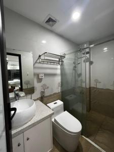 ein Bad mit einem WC, einem Waschbecken und einer Dusche in der Unterkunft Apartment 285 Đội Cấn, Hà Nội in Hanoi