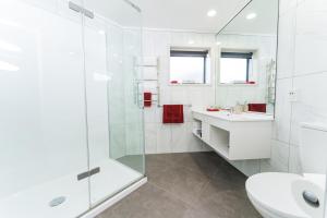 a bathroom with a shower and a sink and a toilet at Aubyn Court Spa Motel in Palmerston North