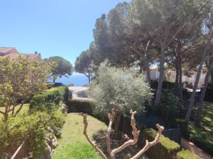 un jardín con árboles y el océano en el fondo en Casa Sant Feliu de Guíxols, 4 dormitorios, 7 personas - ES-209-80, en Sant Feliu de Guíxols