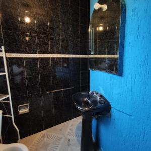 baño con aseo negro y pared azul en Habitaciones ampliación piloto, en Ciudad de México