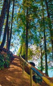 a wooden fence next to a body of water with trees at El Trebol in Guatapé