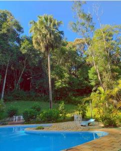 - une piscine avec 2 chaises et un palmier dans l'établissement Chalé Shakti, à Teresópolis