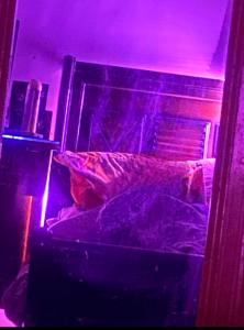 Cozy Private Apartment في أسيوط: سرير في غرفة مع ضوء أرجواني