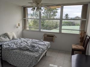 een slaapkamer met een bed en een groot raam bij Private room and bathroom in large spacious 2 BR 2 BH in San Juan