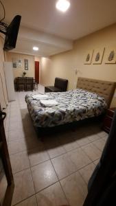 ein Schlafzimmer mit einem großen Bett in einem Zimmer in der Unterkunft Alquileres Temporarios Tucumán in San Miguel de Tucumán