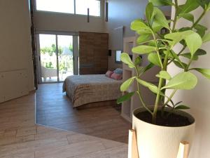 a bedroom with a bed and a potted plant at De Alma Tinta - Petit Chalet in San Rafael +117 photos