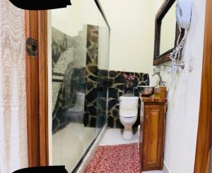 ein Bad mit einem WC und einem Spiegel in der Unterkunft Enchanted Monkey Apartment in Quepos