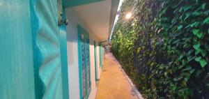 um corredor com uma parede verde com plantas em Hello Airport Hotel, Katunayaka em Katunayaka