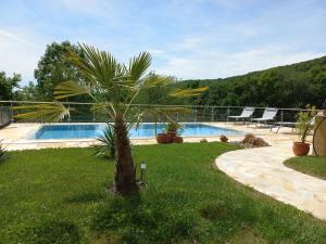 a palm tree in the grass next to a swimming pool at Haus Sylvia in Frutten
