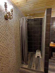 Zgornje Gorje的住宿－House Pr'Belej，带淋浴和浴帘的浴室
