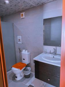 bagno con servizi igienici, lavandino e specchio di The Rock Camp a Wadi Rum