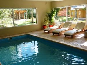 马拉圭柯隆山林小屋的游泳池旁的游泳池配有躺椅