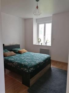 1 dormitorio con 1 cama en una habitación con ventana en Le cocon rochois en Roches-sur-Marne