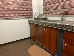 eine Küche mit einer Spüle und einer Arbeitsplatte in der Unterkunft Modern Cozy 2Bedroom Space near KNUST & Kumasi Airport in Kumasi
