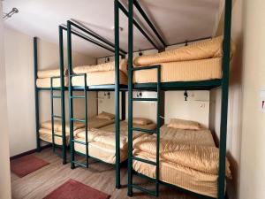 Cama ou camas em um quarto em The Sparkling Turtle Backpackers Hostel