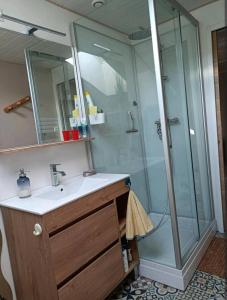 a bathroom with a shower with a sink and a mirror at La chambre CHAT,au coeur des Vosges in Ferdrupt +8 photos