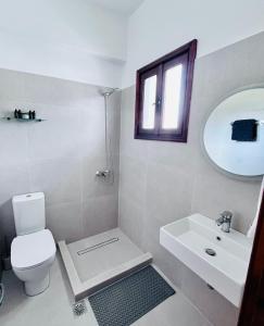 bagno con servizi igienici, lavandino e specchio di Beach House I&II a Alykes