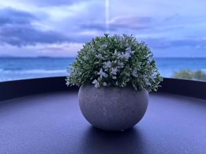 una planta en un jarrón sentada en un alféizar de la ventana en Beach House I&II, en Alykes