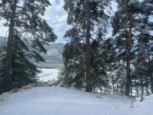 una colina cubierta de nieve con árboles y un lago en Les rocailles, en Valderoure