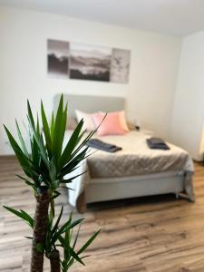 a bedroom with a bed and a plant in the foreground at E&K Apartment I in Düsseldorf