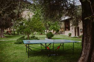 ガルニャーノにあるCampolivoの木の横の芝生の卓球台