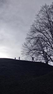 un grupo de personas en una colina con un árbol en Ferienwohnung Lopes en Weilheim an der Teck
