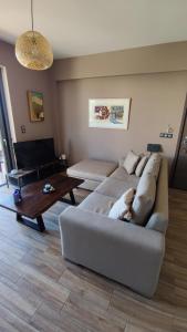 ポルト・ラフティにあるSerenity Villa-Ground floor-Sea view- sea 150m awayの居間のソファに寝た犬