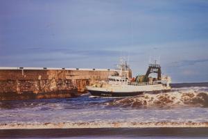 Phong cảnh thiên nhiên gần căn hộ