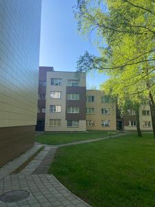 a building with a grassy area next to a building at Marijos apartamentai in Birštonas