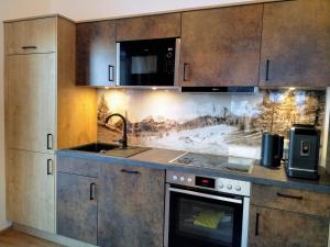 Kuchyňa alebo kuchynka v ubytovaní Apartments Haufhof , Haus im Ennstal bei Schladming
