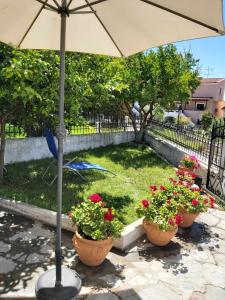 Zahrada ubytování Ermionis home