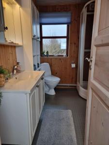 a bathroom with a toilet and a sink and a window at Cozy Summer House In Lnstrup For 5 People, in Lønstrup