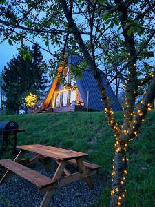 a picnic table in front of a tree with a house at Zibran Cabane in Bran