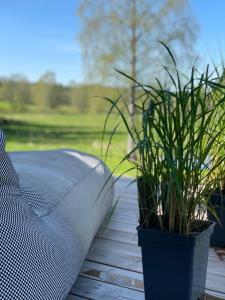 Zahrada ubytování Tondikaku Holiday Home