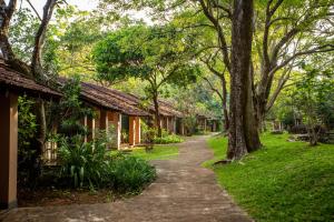 a path through a park with trees and houses at Sigiriya Village in Sigiriya