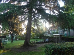 Zahrada ubytování B&B La Quercia