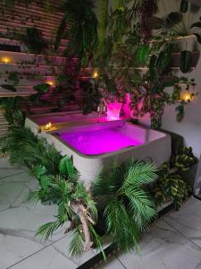 a spa tub with purple lighting in a room with plants at L'appart'hôtel 23ème avenue - Spa privatif - Love room - Appartements à thèmes in Lamalou-les-Bains +45 photos
