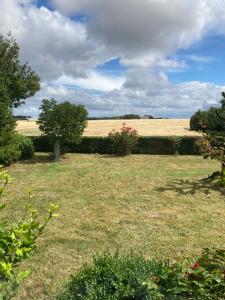 a field of grass with a hedge and trees at Holiday Home In Poulsker in Neksø