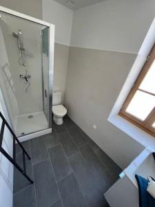 een badkamer met een douche en een toilet bij Charmant duplex rénové à neuf in La Voulte-sur-Rhône