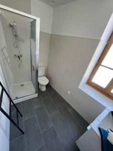 a bathroom with a shower and a toilet at Charmant duplex rénové à neuf in La Voulte-sur-Rhône