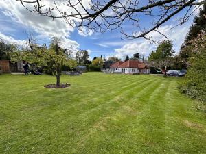 a lawn with a tree in the middle of a yard at The Cottage get away in Saffron Walden